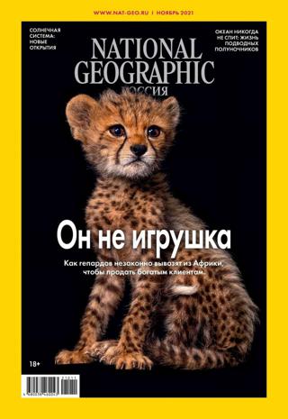 National Geographic №11 (ноябрь/2021) Россия