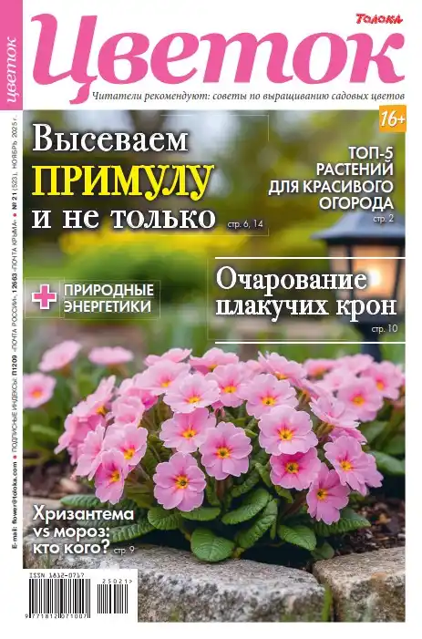Цветок №21 (ноябрь/2025)