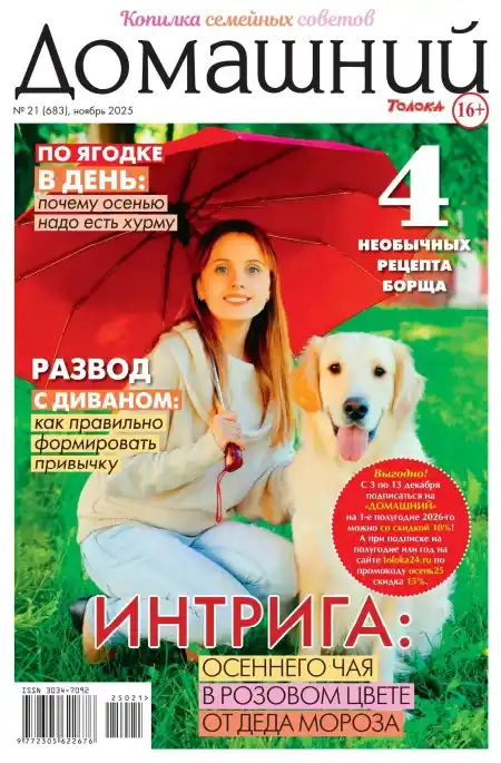 Домашний №21 (ноябрь/2025)