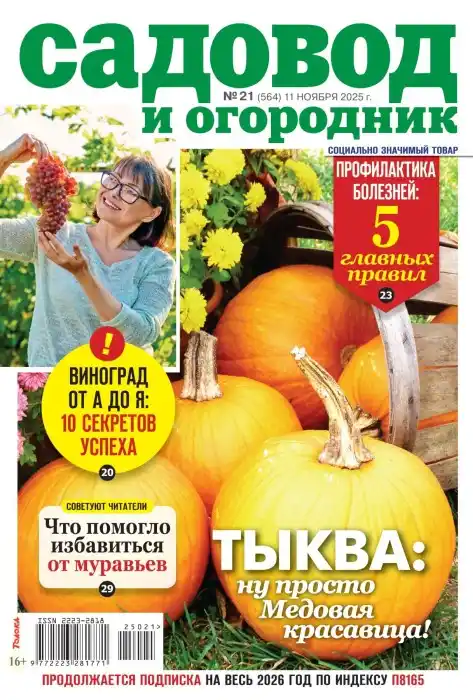 Садовод и огородник №21 (ноябрь/2025)