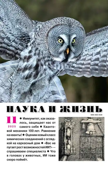 Наука и жизнь №11 (ноябрь/2025)