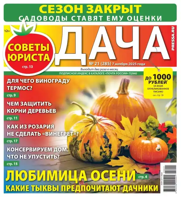 Дача №21 (ноябрь/2025)