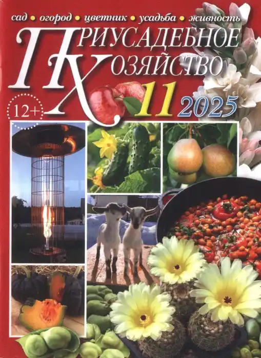 Приусадебное хозяйство №11 (ноябрь/2025)