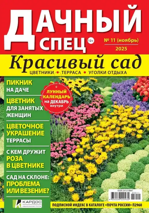 Дачный спец №11 (ноябрь/2025)