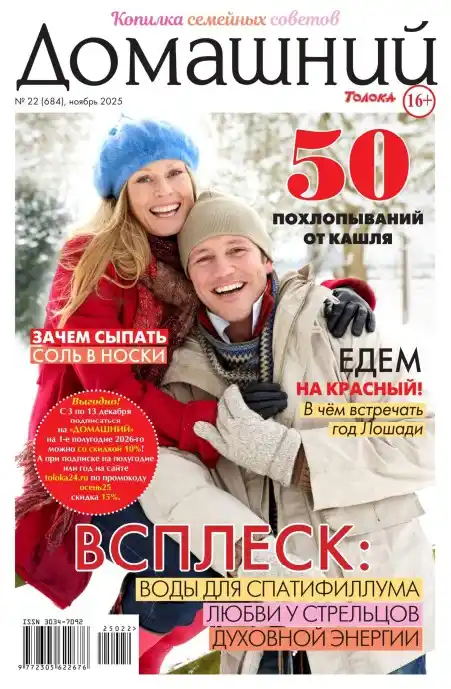 Домашний №22 (ноябрь/2025)