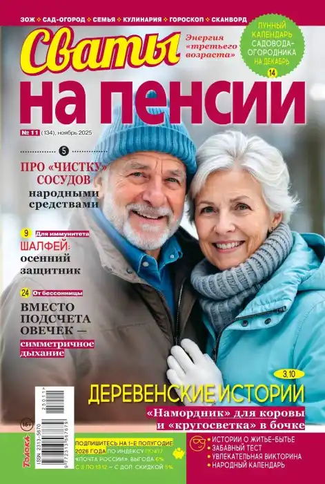 Сваты на пенсии №11 (ноябрь/2025)