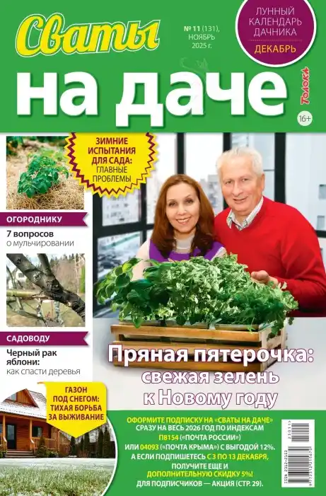 Сваты на даче №11 (ноябрь/2025)