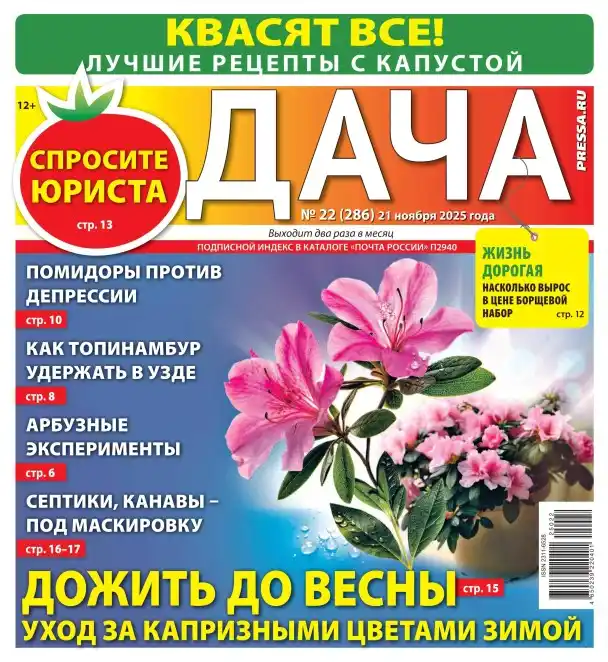 Дача №22 (ноябрь/2025)