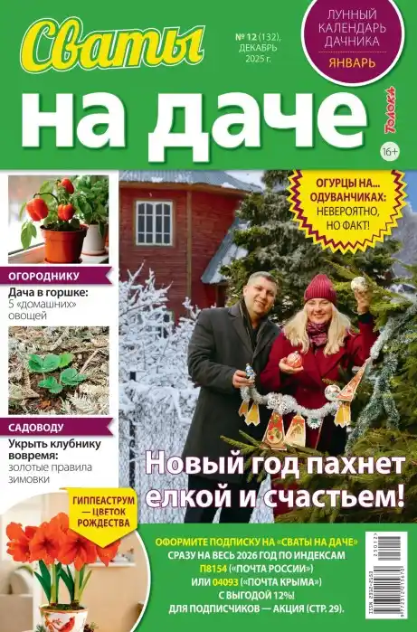 Сваты на даче №12 (декабрь/2025)