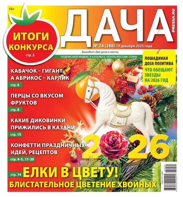 Дача №24 (декабрь/2025)