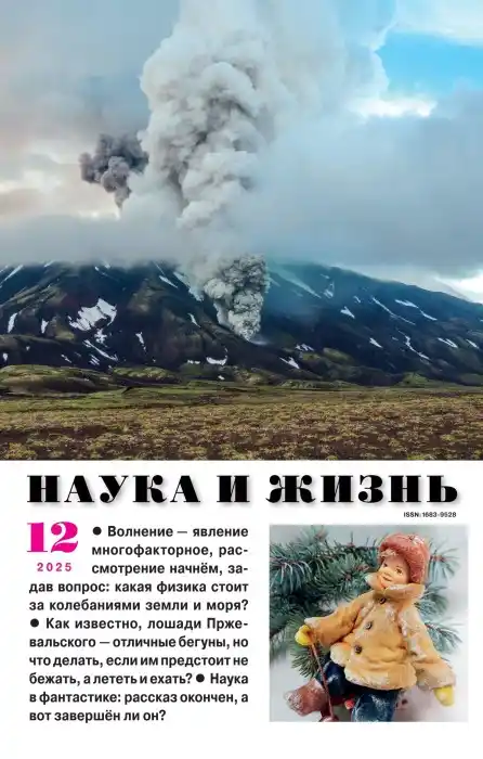Наука и жизнь №12 (декабрь/2025)