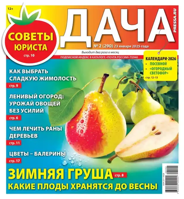 Дача №2 (январь/2026)