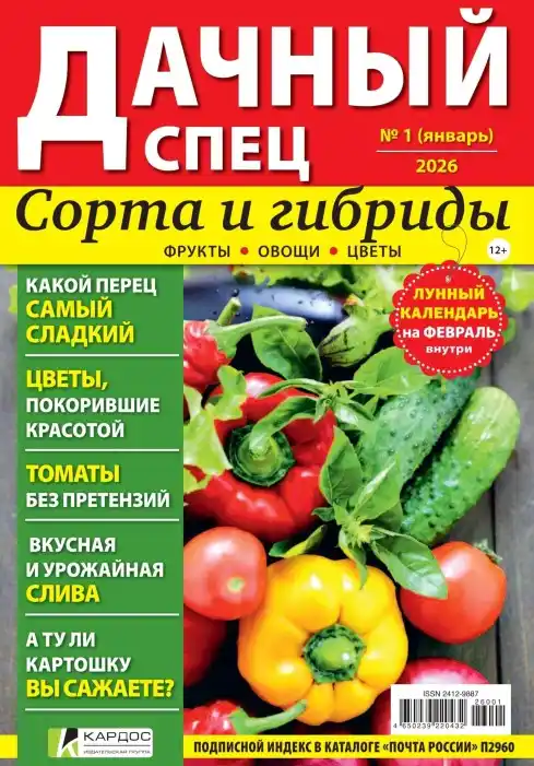 Дачный спец №1 (январь/2026)