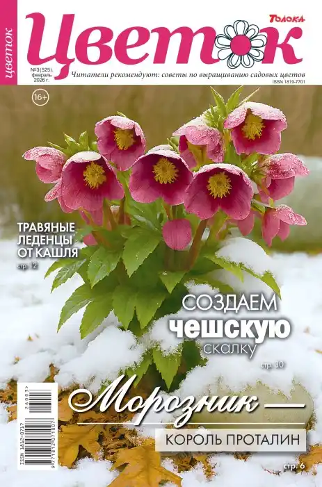 Цветок №3 (февраль/2026)