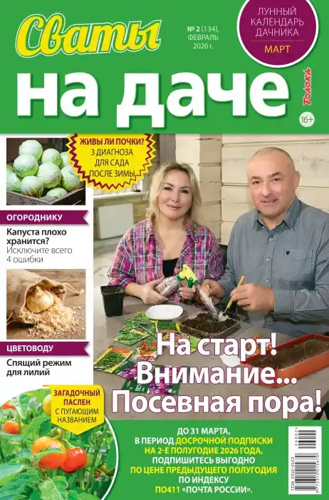 Сваты на даче №2 (февраль/2026)