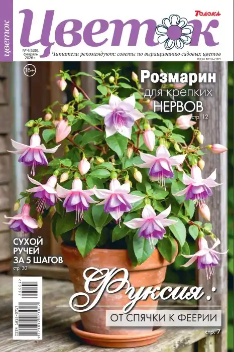 Цветок №4 (февраль/2026)