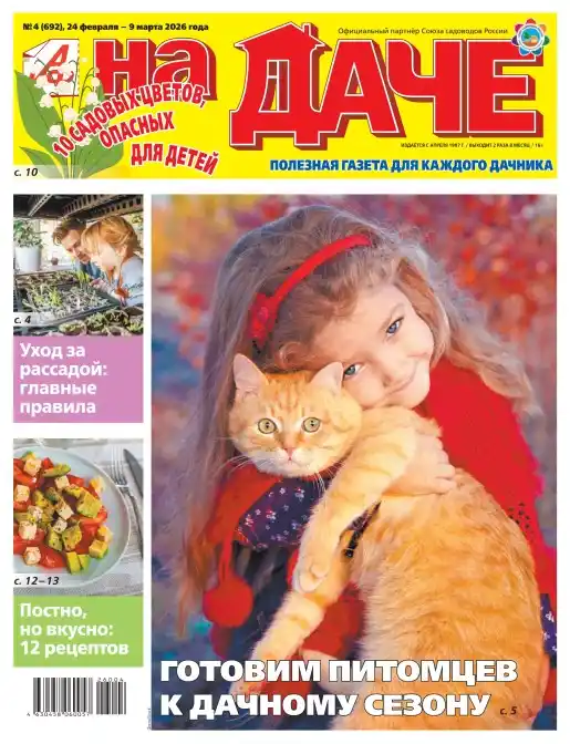 Аиф На даче №4 (февраль-март/2026)