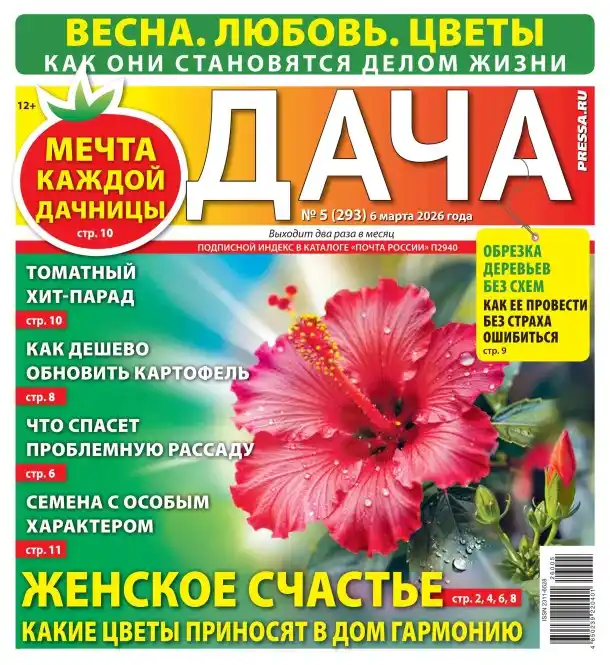 Дача №5 (март/2026)