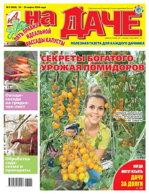 Аиф На даче №5 (март/2026)