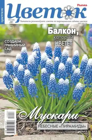 Цветок №6 (март/2026)