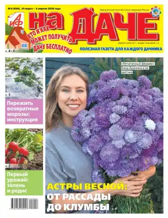 Аиф На даче №6 (март-апрель/2026)