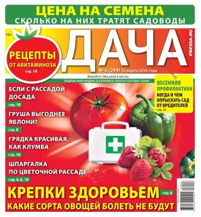 Дача №6 (март/2026)