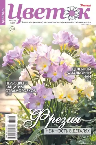 Цветок №7 (апрель/2026)