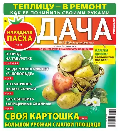Дача №7 (апрель/2026)