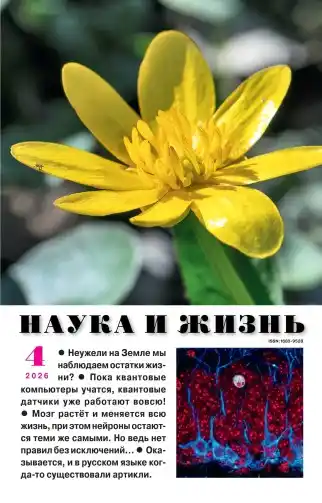 Наука и жизнь №4 (апрель/2026)